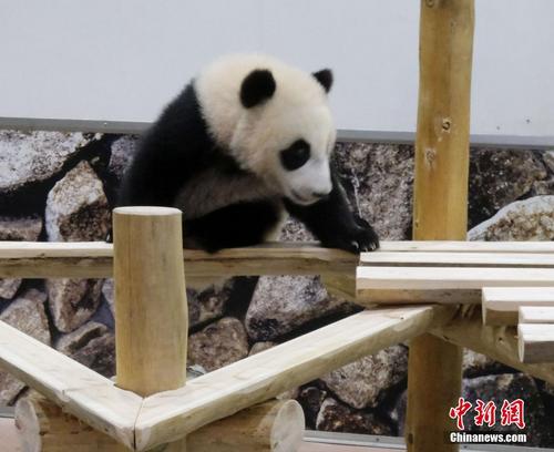 日媒调查 日本百余所国立大学将在校内接种疫苗 中国侨网