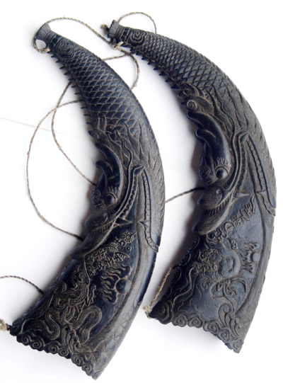 贵州发现刻有"水书"的牛角 已破解八个字(图)