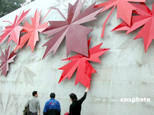 路的北边护墙,一面由6片巨大的特制枫叶组成的文化主题墙已全部完工