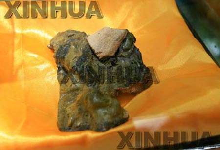 6月10日拍摄的藏地活佛肉舍利.