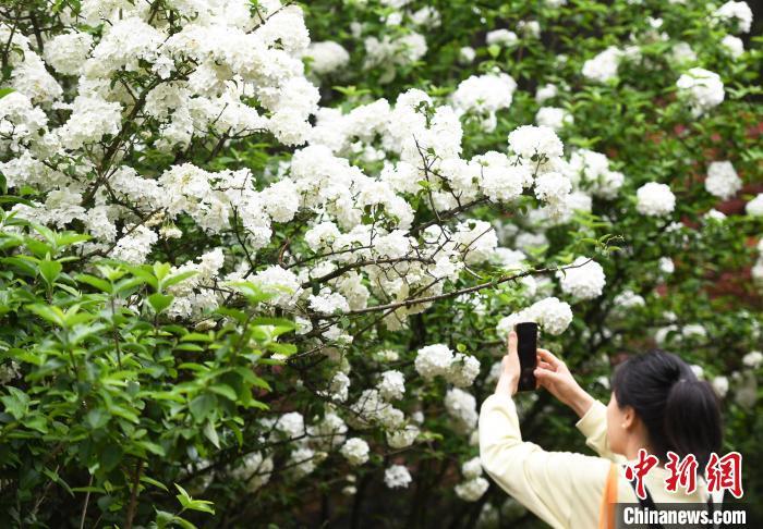 湖南：3000多座水电站加强蓄水保冬季用电