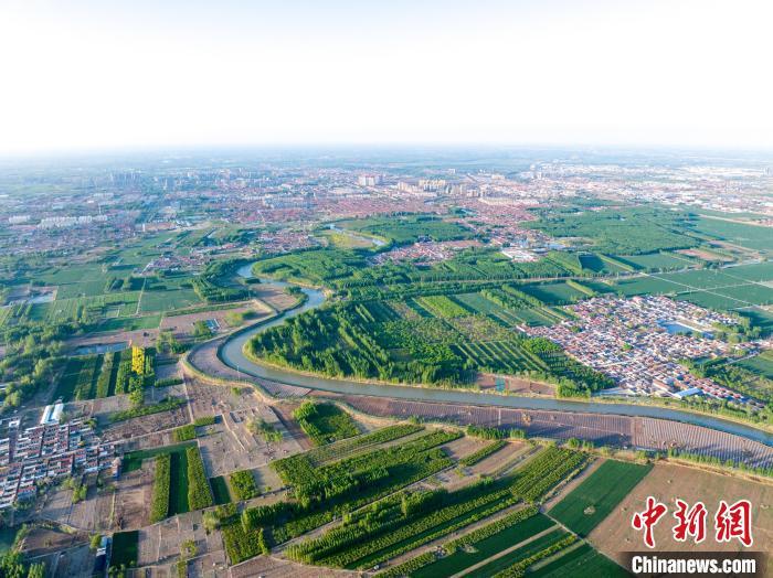 中国侨网4月26日，隋唐紫斑牡丹产业园位于郁郁葱葱的大运河畔（航拍）。张志宇 摄