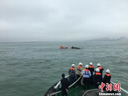 中国侨网碰撞事故中沉没的货船被拖离现场 翟三伟 摄