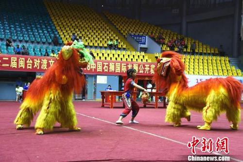 中国侨网2018中国石狮国际龙狮公开赛吸引了海内外18支队伍参赛。　陈龙山　摄