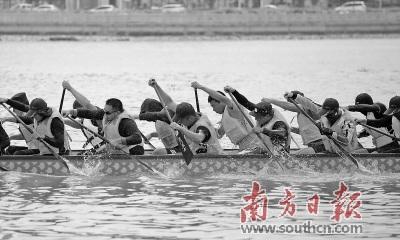 中国侨网今年的珠海市斗门区龙舟文化节将于5月19日举行。图为参赛队伍正在紧张训练。关铭荣 摄