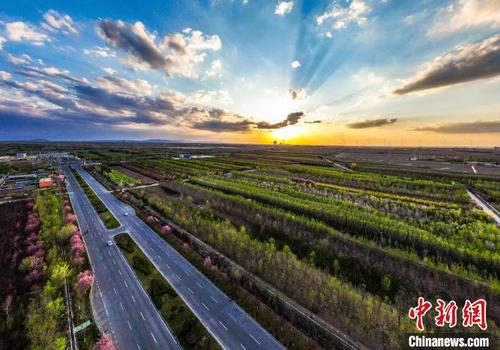中国侨网从空中俯瞰新疆昌吉州呼图壁县苗木种植基地，各类苗木错落有致、色彩斑斓，宛如画卷。　陶维明　摄