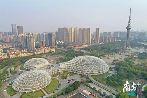 中国侨网在创文促进禅城城市整体升级的过程中，禅城经济、文化、社会、生态发展取得长足发展。南方日报记者 戴嘉信 摄