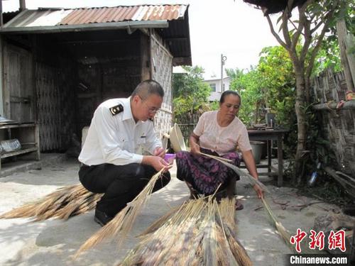 中国侨网图为瑞丽海关关员与村民一同回收芒草蕊。昆明海关供图