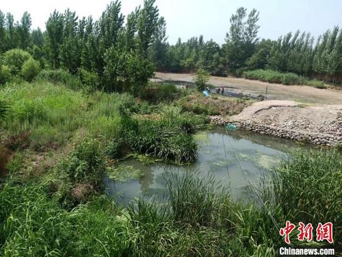 中国侨网图为牤牛河治理前淤积的河道。峰峰矿区区委宣传部供图