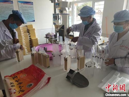 中国侨网义县稍户营子镇土铺子村杂粮加工项目，工人们正在为产品打包装。义县县委宣传部供图