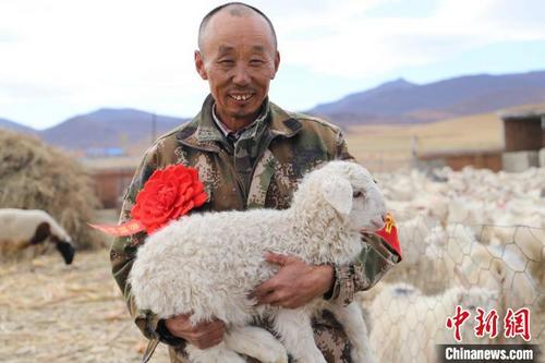中国侨网图为李国荣因为养羊荣获“养殖状元”称号。兴安盟科右前旗宣传部供图