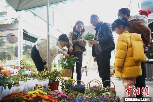中国侨网图为市民在冬日暖阳下购置鲜花。　李晨　摄
