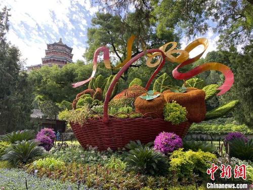 中国侨网颐和园的“祝福”主题花坛。 北京市公园管理中心供图