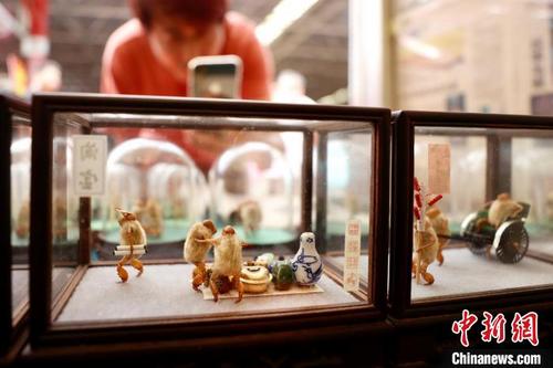 中国侨网15日，中国潘家园第一届非遗文化节在北京潘家园旧货市场开幕。图为游客在拍摄毛猴。　中新社记者 富田　摄