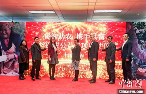 中国侨网“侨智助农，携手共富”——桑梓助农专项合作在沪启动　上海市华侨事业发展基金会供图