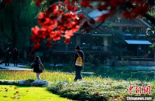 中国侨网上海秋高气爽的天气和赏心悦目的秋景吸引民众来到户外。　汤彦俊　摄