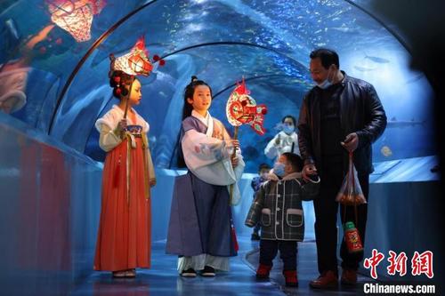 中国侨网两名少年打着鱼灯参观南京海底世界。　泱波　摄
