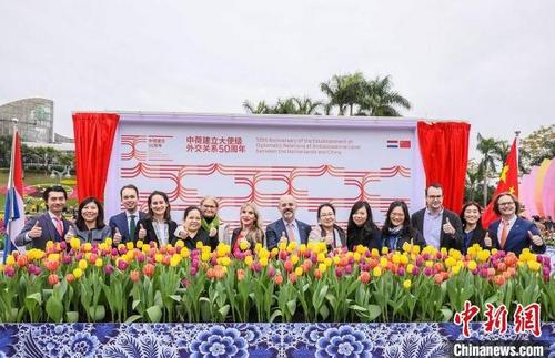中国侨网庆祝中荷建交50周年荷兰主题沉浸式花艺装置在广州云台花园