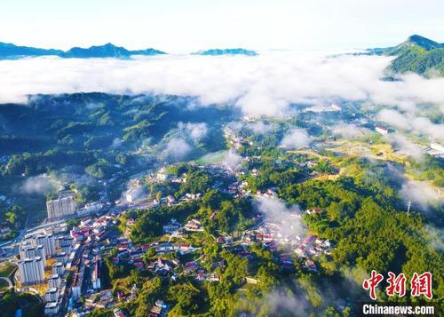 中国侨网6月20日，雨后初霁，云雾蒸腾，安徽岳西县呈现出“城在绿中”的美景。　吴均奇 摄