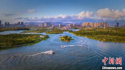 中国侨网温州市瓯海区三垟湿地航拍全景　项光涨供图