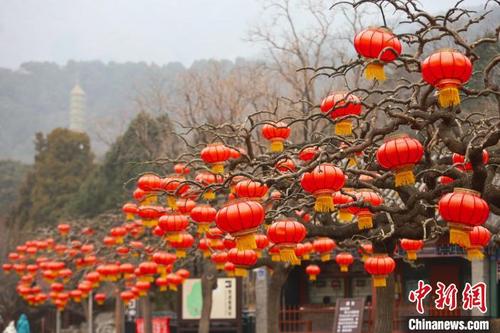 中国侨网图为香山公园环境布置。　北京市公园管理中心供图