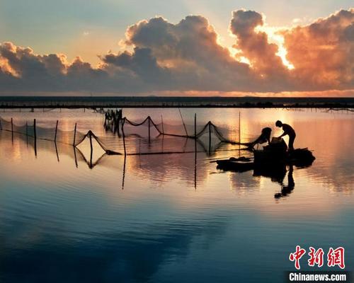中国侨网一名养殖户在海水养殖塘作业。　章雪瑶供图
