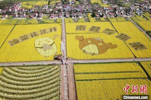 中国侨网航拍南县罗文村油菜基地。　宁党保 摄