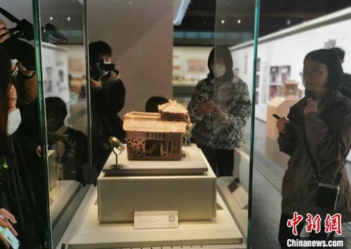 中国侨网民众观看展览 程景伟 摄