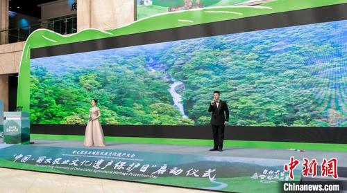 中国侨网启动仪式现场 庆元县委宣传部 供图
