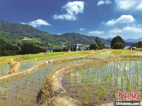 中国侨网蕉城区七都镇北山村2022年土地开发项目现场。　陈祎凝　摄