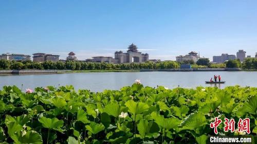 参观展览、科普体验 北京全市公园推出151项暑期游园活动