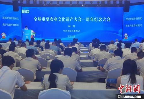 中国侨网全球重要农业文化遗产大会一周年纪念大会现场。　傅飞扬　摄