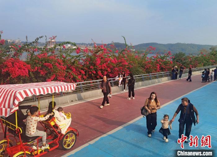 中国侨网图为环江村沿江道路上，游客来来往往。中新网记者 蒙鸣明 摄