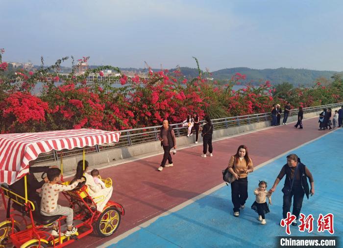中国侨网图为环江村沿江道路上,游客来来往往。中新网记者 蒙鸣明 摄