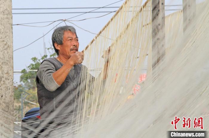 中国侨网在福建省泉州市泉港区南埔镇凤翔村，一名社员正在拉面。林弘梫 摄