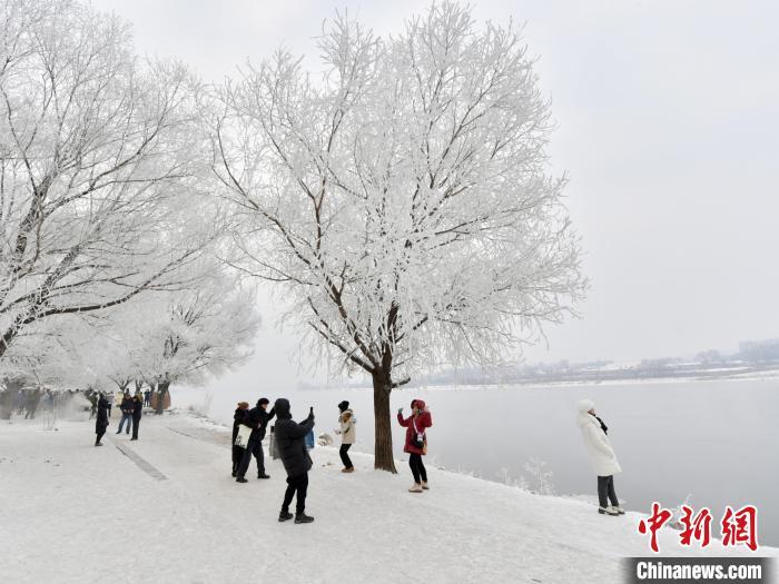 中国侨网雾凇美景引游客驻足欣赏。刘栋 摄