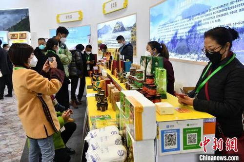 中国侨网第八届四川农业博览会现场。 张浪 摄
