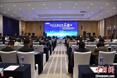 中国侨网图为活动现场。 主办方供图