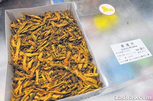 禁用38年、含小檗碱成分的黄连终于能从下个月起再次在新加坡本地“重见光明”。（档案照片）