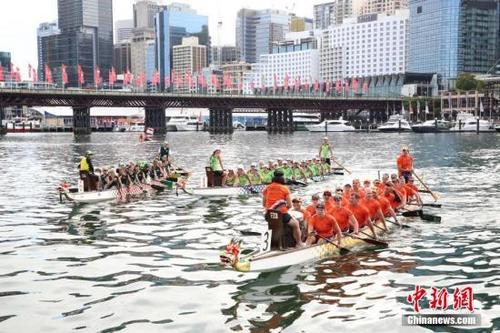 中国侨网2月24日，悉尼达令港举行龙舟赛，吸引3000多名参赛者，为中国农历新年佳节添彩。图为参赛龙舟队在比赛中。 中新社记者 陶社兰 摄