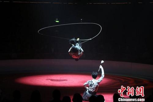 中国侨网福建杂技《墨韵——绳技》剧照。　受访者供图