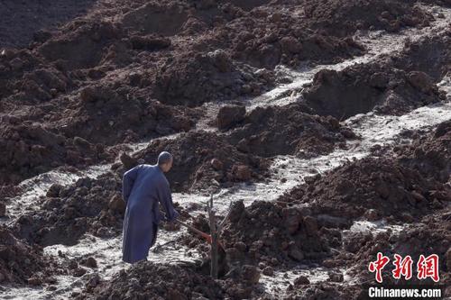 中国侨网正在种植树木的少林僧人。 少林寺供图