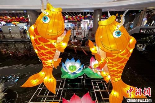 中国侨网秦淮水街上的大鲤鱼彩灯吸睛. 泱波 摄