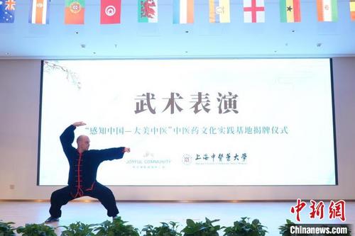 中国侨网国际学生展示传统功法。　上海中医药大学供图