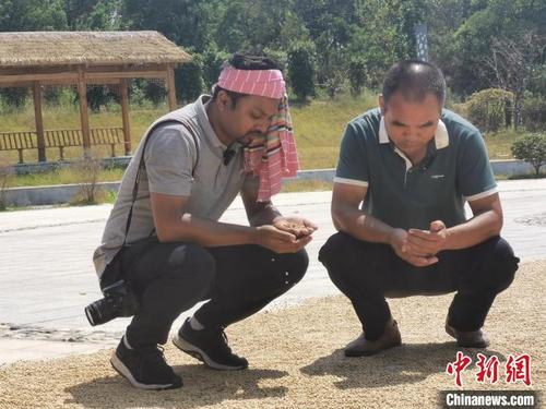中国侨网吴迪(Saiyedul)正在和流芳乡种豆村民了解豆子的情况。　受访者供图
